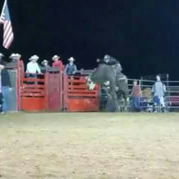 Meet your Posher, Jessie - Picture 6 of 8